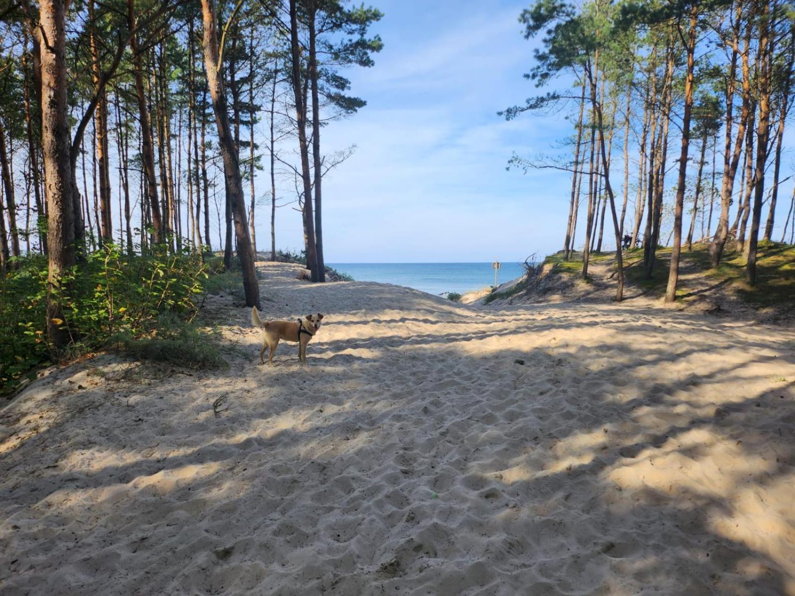 Domki Letniskowe U Zuni Chlopy Bagian luar foto